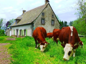 Gîte Tauves, 5 pièces, 8 personnes - FR-1-630-88